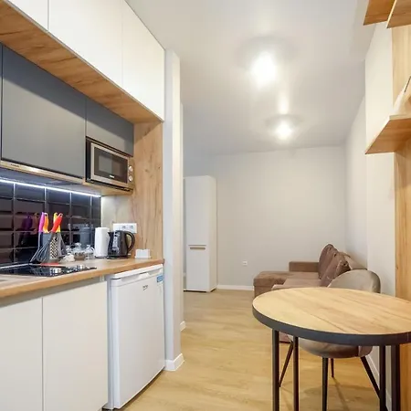 New Point In The Centre Apartment Lviv