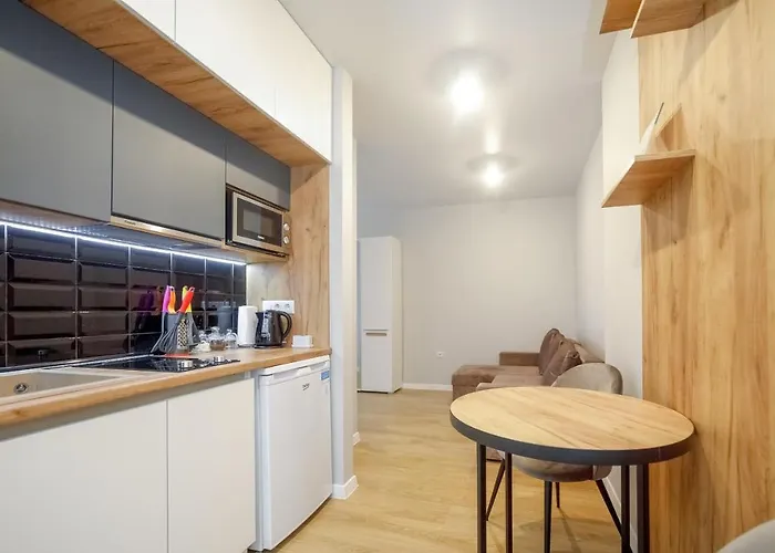 New Point In The Centre 公寓 利沃夫